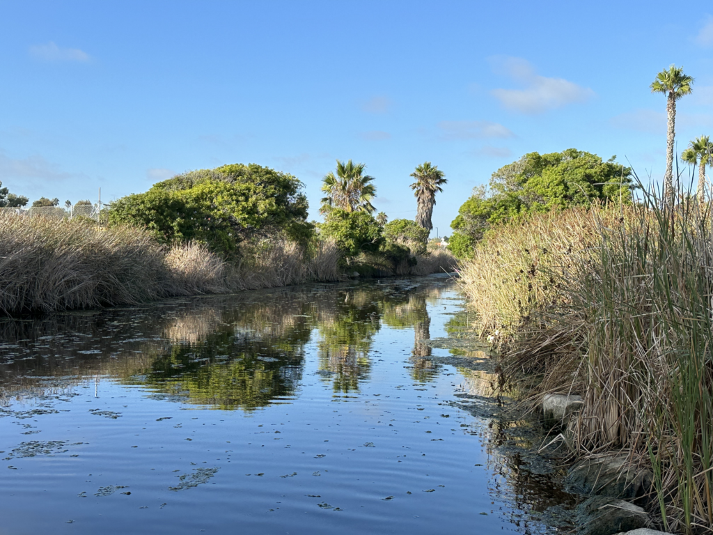 loma alta slough