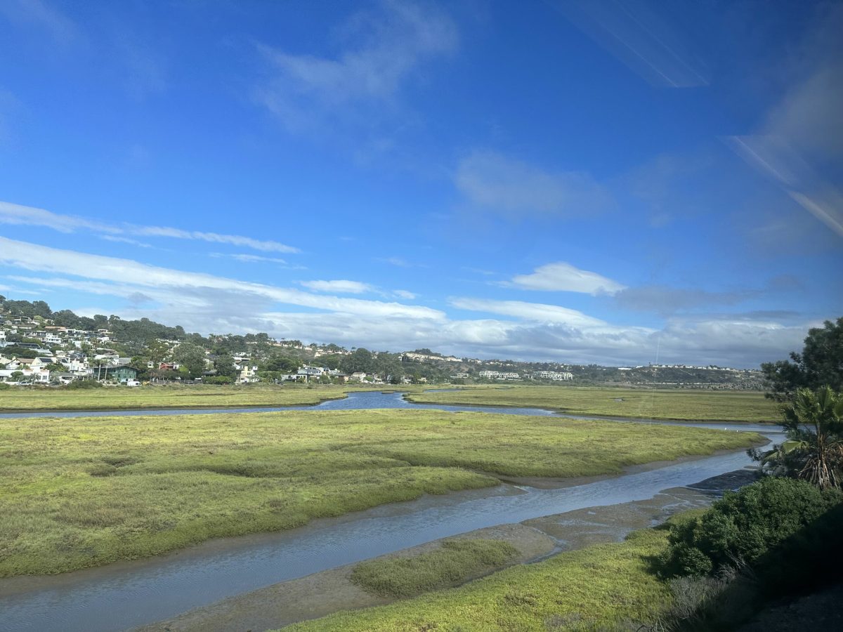 Los penasquitos lagoon